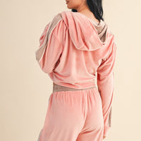 Velour Cropped Hoodie