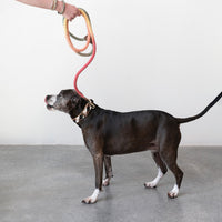 Cotton + Leather Dog Leash