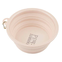 Large Collapsible Dog Bowl