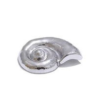 Conch Brooch Pin
