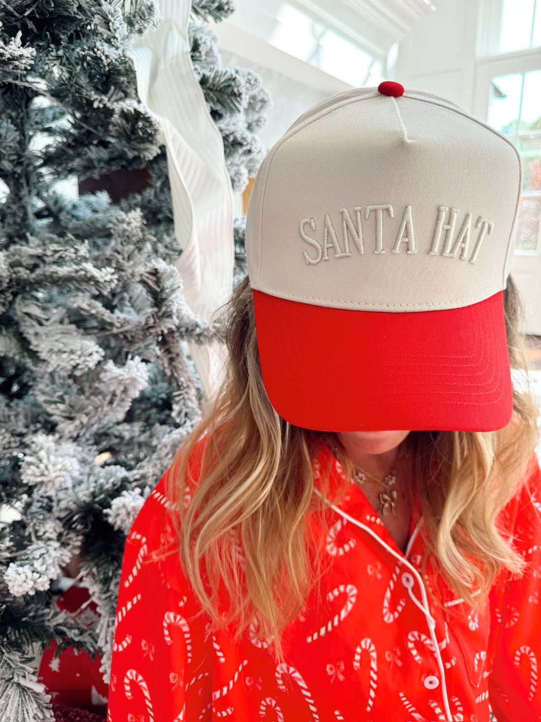 Santa Hat Trucker