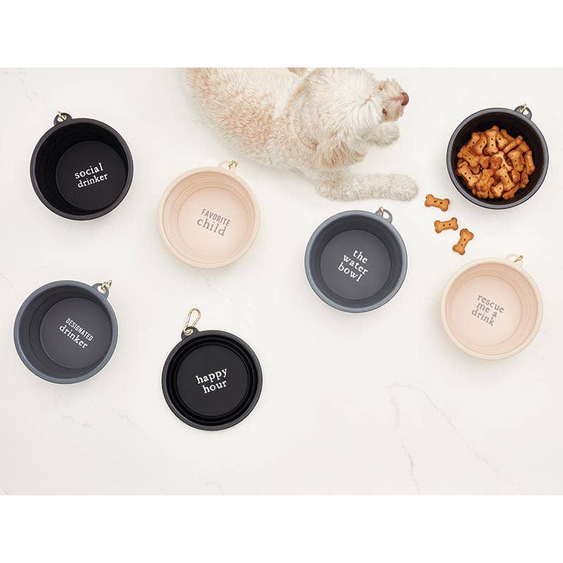 Large Collapsible Dog Bowl
