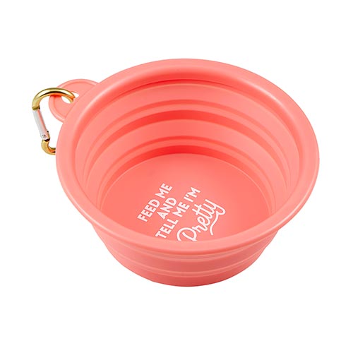 Dog Bowl
