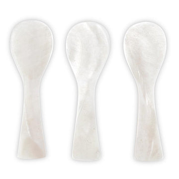 Shell Spoon Set