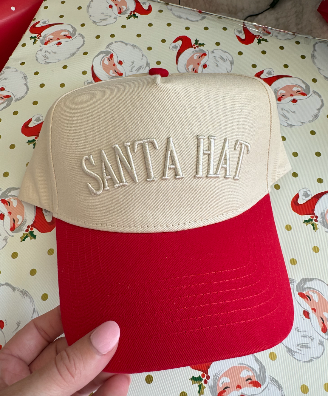 Santa Hat Trucker