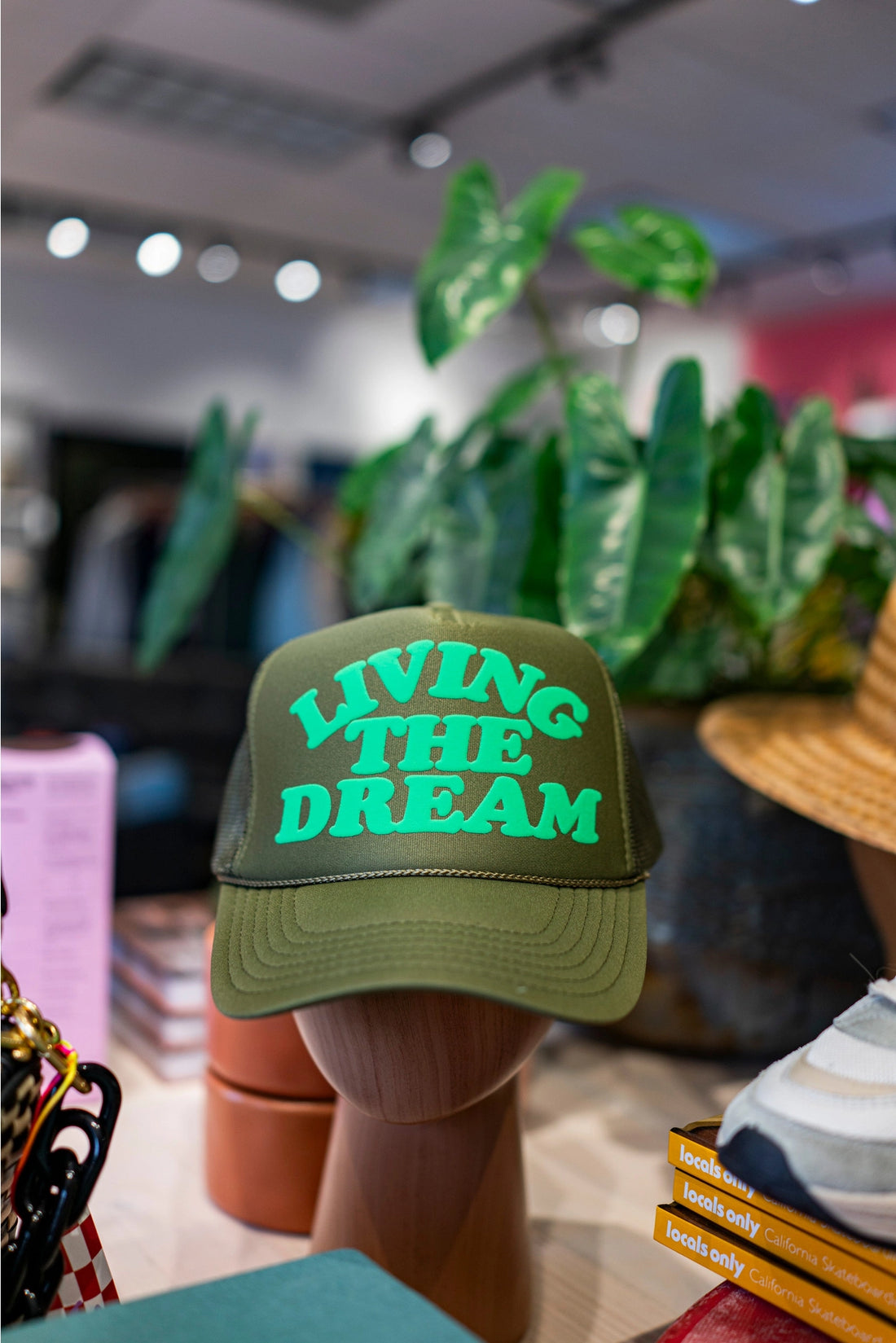 Living The Dream Trucker