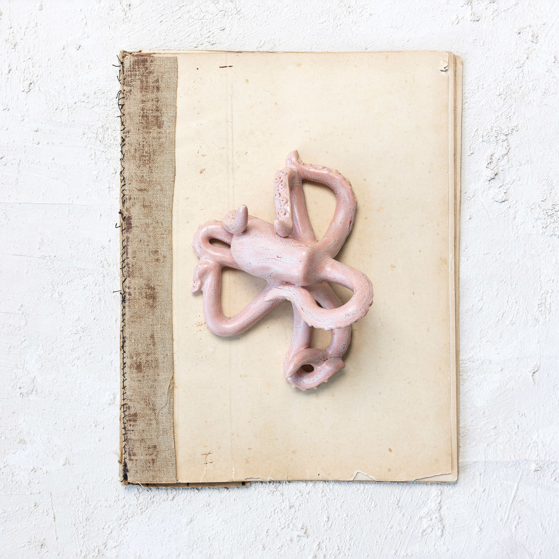 Pink Octopus