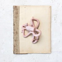 Pink Octopus