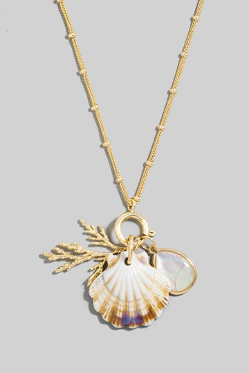 Seashell Necklace